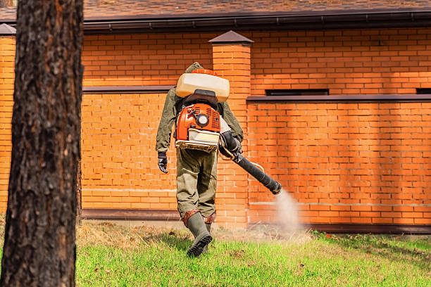 Trusted Rodent Control service in Claysburg, PA - Nex Pest Control